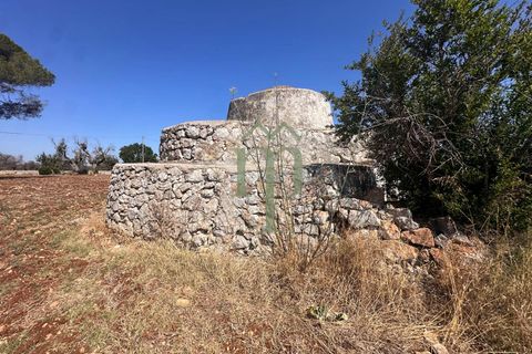 Ruinere i Carovigno, Brindisi, Carovigno - € 385.000 | Ref: Proprietà Pinea - foto 40